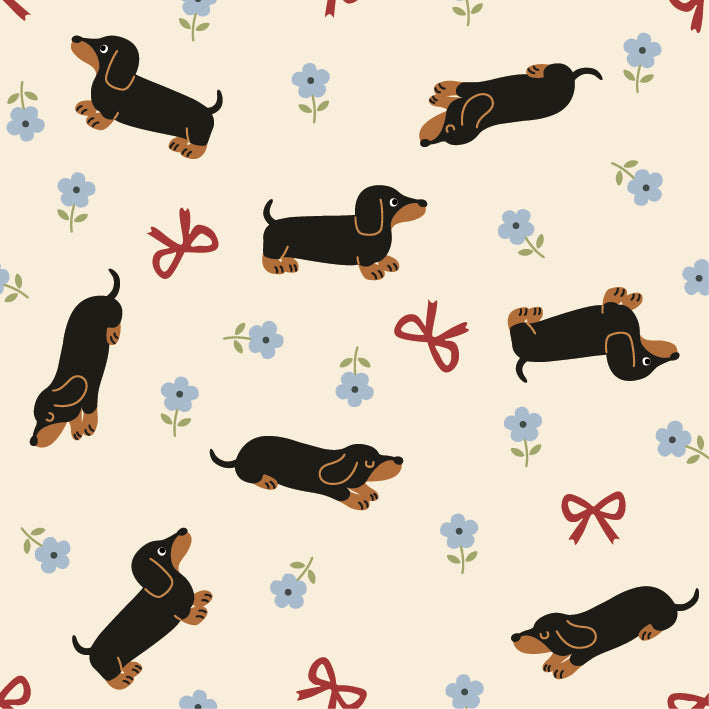 お花畑のダックスフント