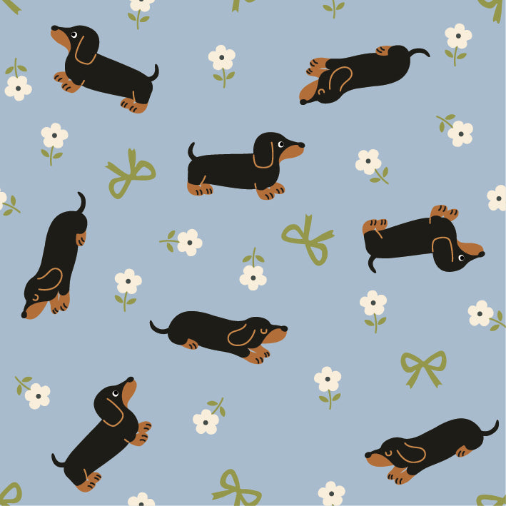 お花畑のダックスフント