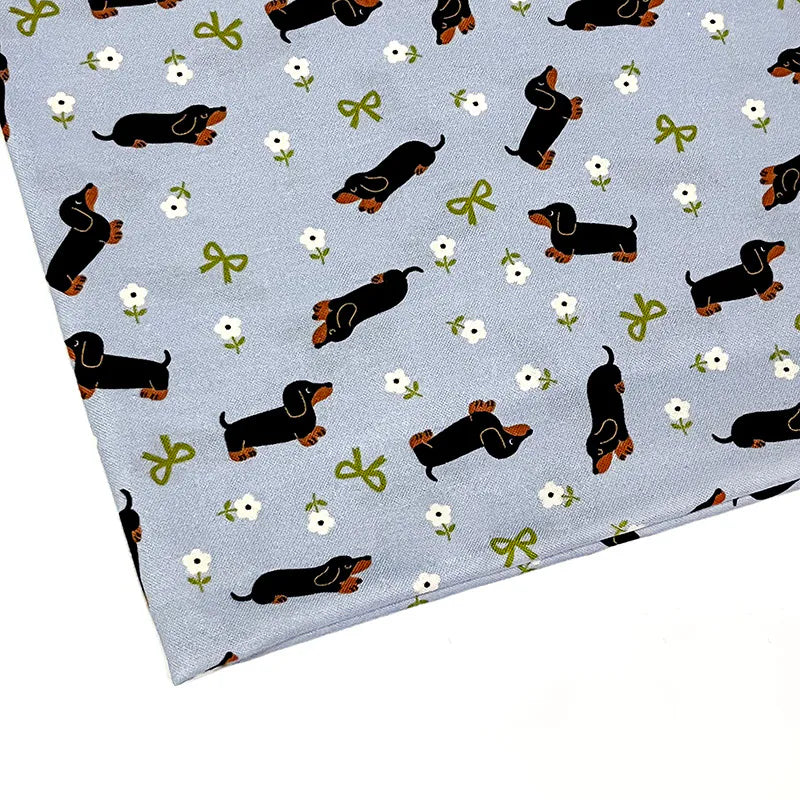 お花畑のダックスフント