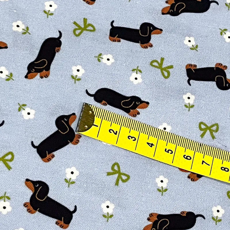 お花畑のダックスフント