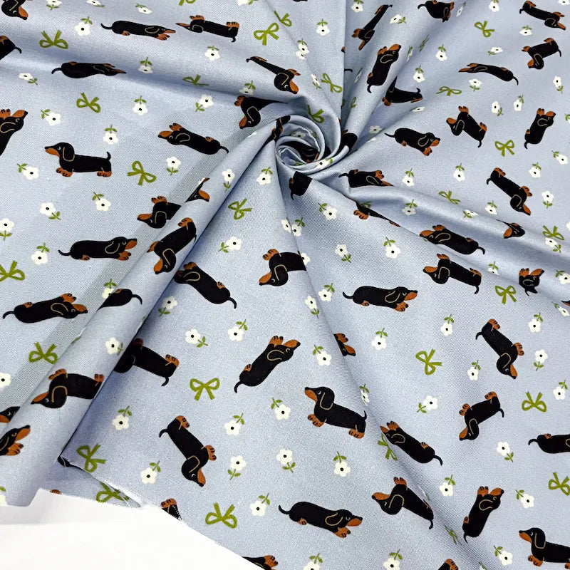 お花畑のダックスフント